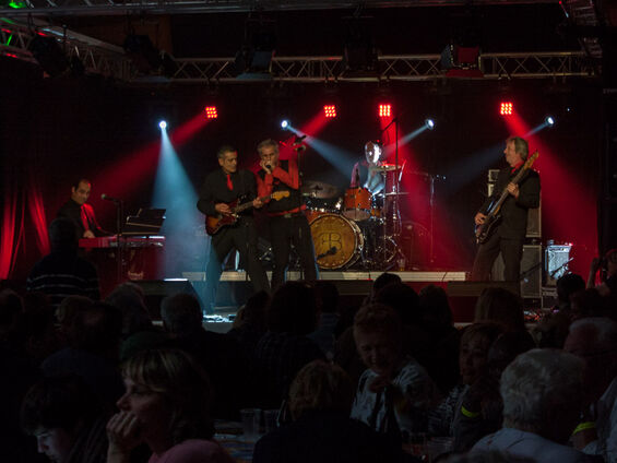Shaggy dogs (France)