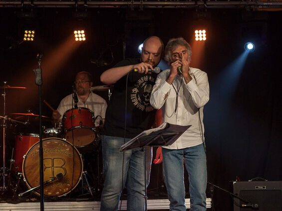 The Feedback (France)