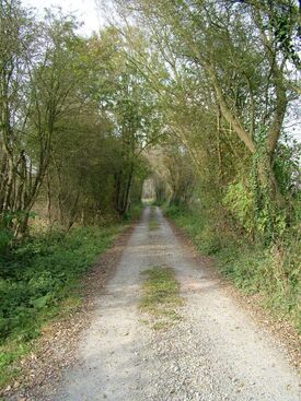 Le Chemin vert