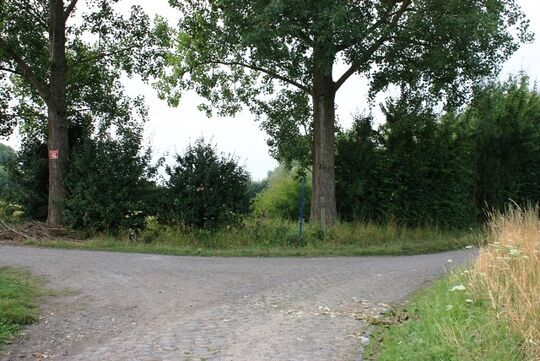 Le Trou Montauban, entre les deux arbres