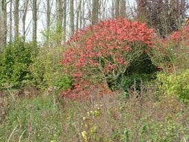 Couleurs d'automne