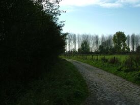 Les pavés